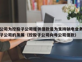 公司为控股子公司提供借款是为支持钠电业务子公司的发展（控股子公司向母公司借款）