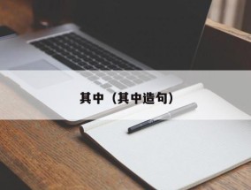 其中（其中造句）