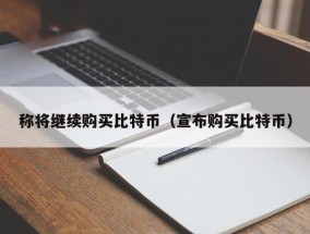 称将继续购买比特币（宣布购买比特币）