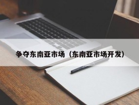 争夺东南亚市场（东南亚市场开发）