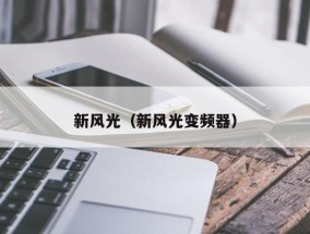 新风光（新风光变频器）
