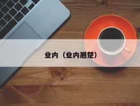 业内（业内翘楚）