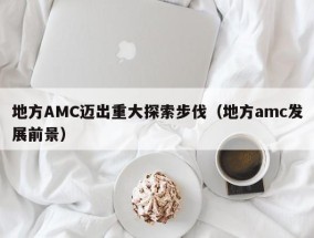 地方AMC迈出重大探索步伐（地方amc发展前景）