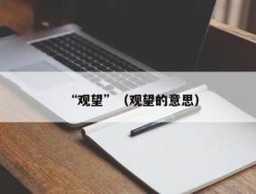 “观望”（观望的意思）